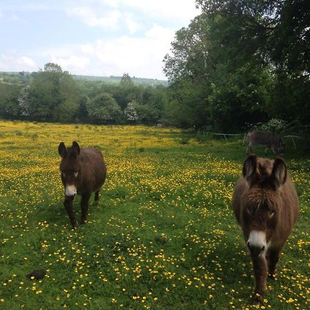 Carrigeen Glamping Kilkenny Eksteriør billede