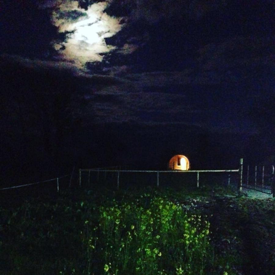 Carrigeen Glamping Kilkenny Eksteriør billede