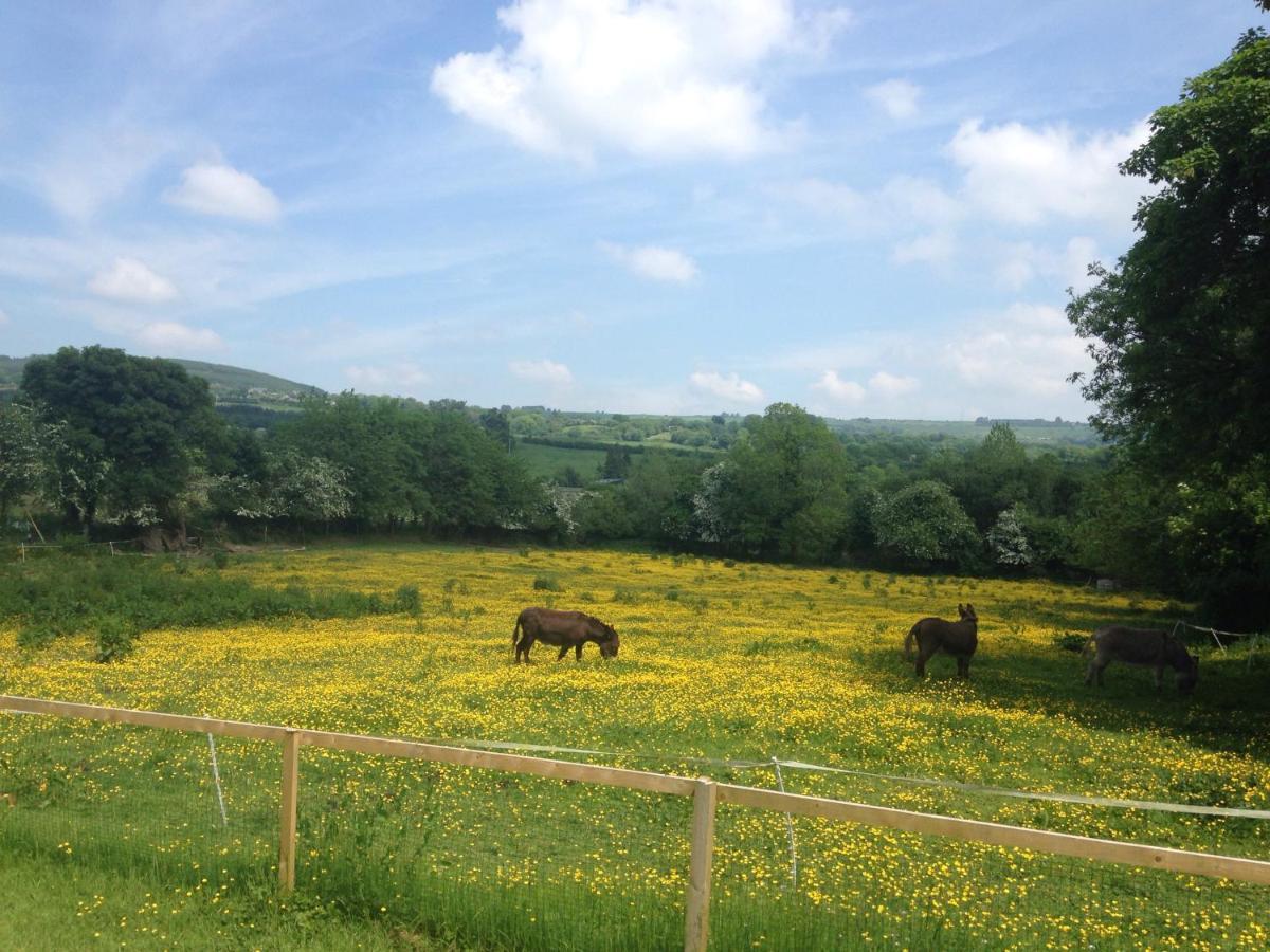 Carrigeen Glamping Kilkenny Eksteriør billede